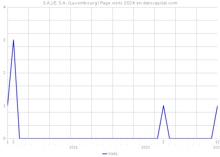 S.A.J.E. S.A. (Luxembourg) Page visits 2024 