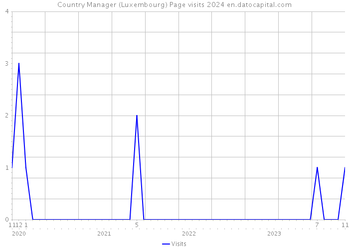 Country Manager (Luxembourg) Page visits 2024 