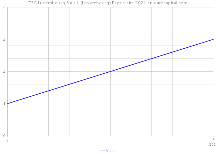 TSG Luxembourg S.à r.l. (Luxembourg) Page visits 2024 