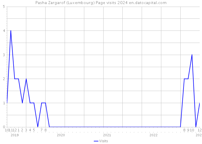 Pasha Zargarof (Luxembourg) Page visits 2024 