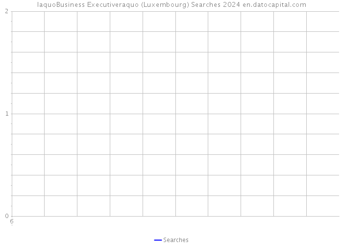 laquoBusiness Executiveraquo (Luxembourg) Searches 2024 