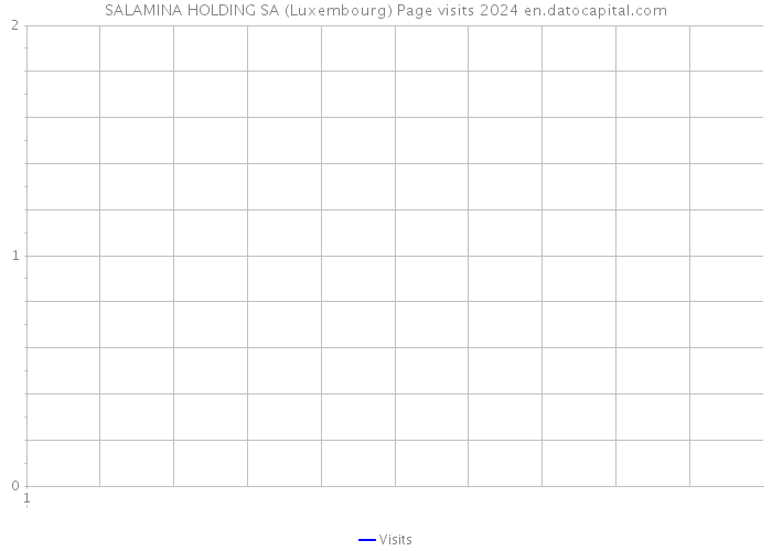 SALAMINA HOLDING SA (Luxembourg) Page visits 2024 