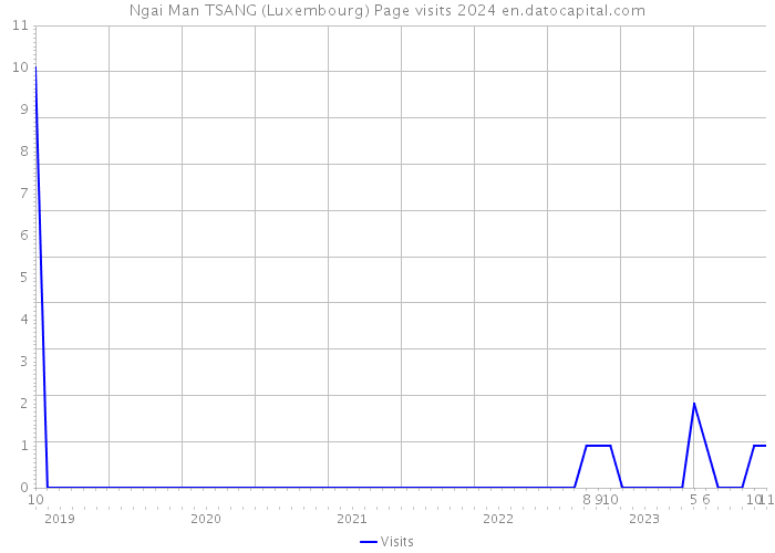 Ngai Man TSANG (Luxembourg) Page visits 2024 
