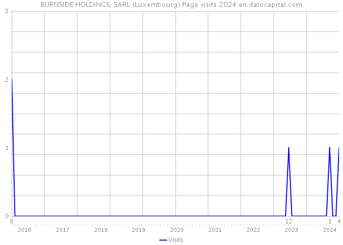 BURNSIDE HOLDINGS, SARL (Luxembourg) Page visits 2024 