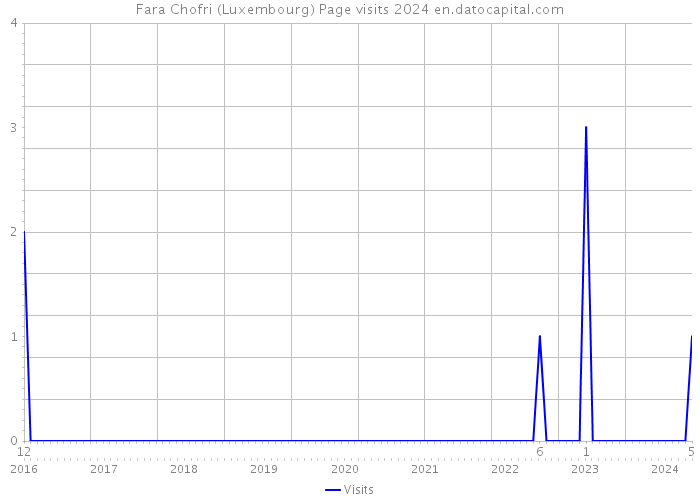 Fara Chofri (Luxembourg) Page visits 2024 
