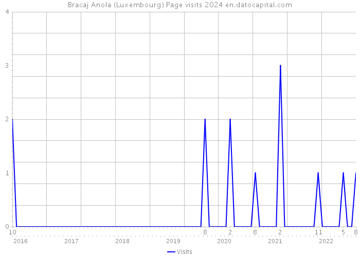 Bracaj Anola (Luxembourg) Page visits 2024 