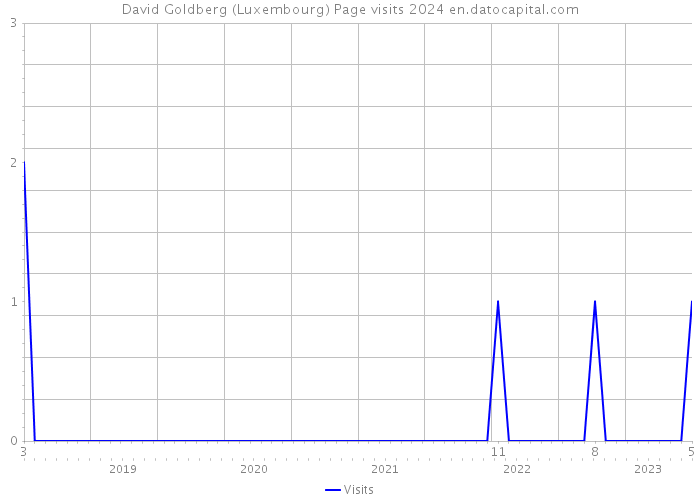 David Goldberg (Luxembourg) Page visits 2024 