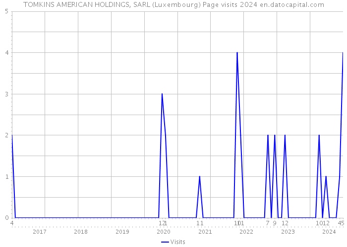 TOMKINS AMERICAN HOLDINGS, SARL (Luxembourg) Page visits 2024 