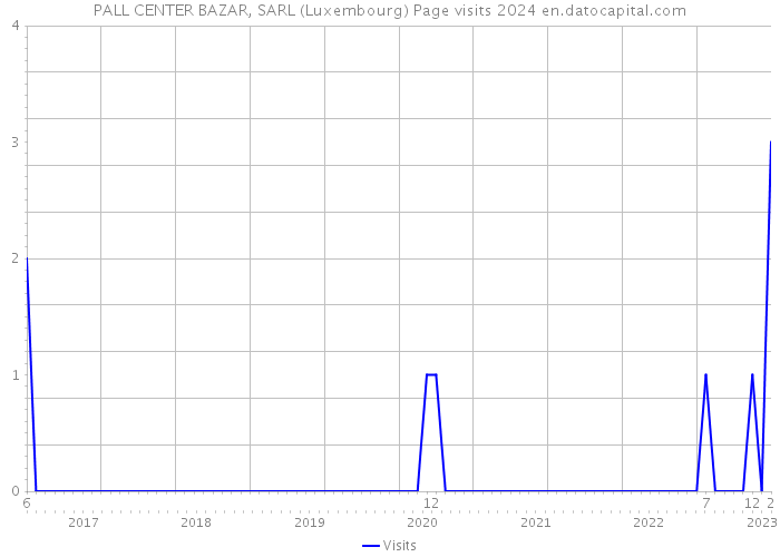 PALL CENTER BAZAR, SARL (Luxembourg) Page visits 2024 