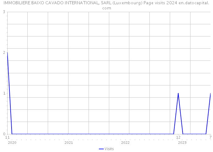 IMMOBILIERE BAIXO CAVADO INTERNATIONAL, SARL (Luxembourg) Page visits 2024 