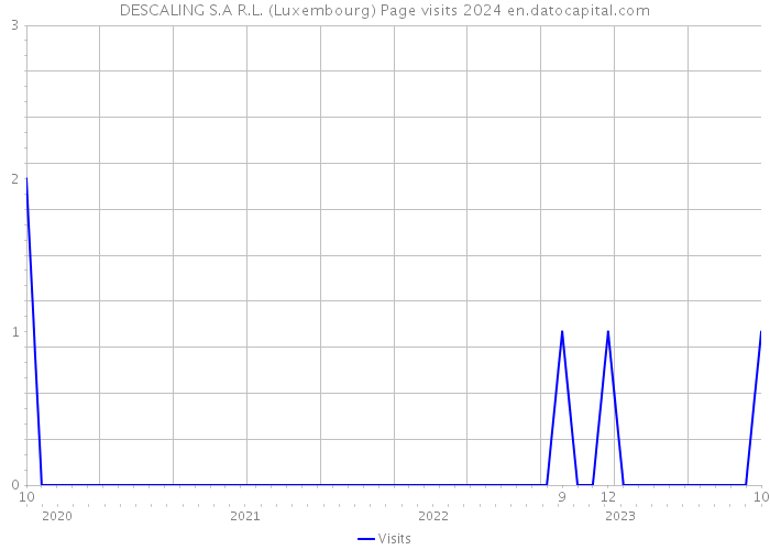 DESCALING S.A R.L. (Luxembourg) Page visits 2024 
