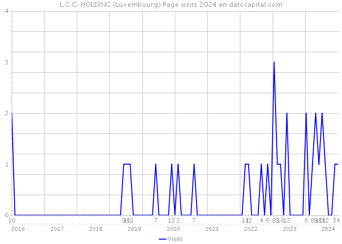L.C.C. HOLDING (Luxembourg) Page visits 2024 
