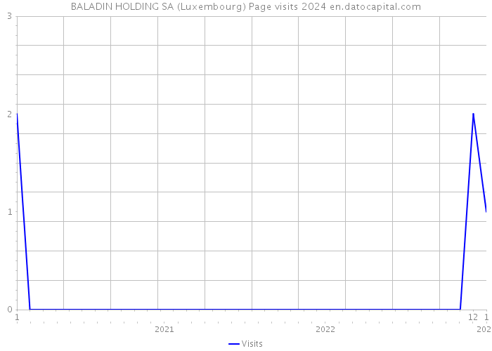 BALADIN HOLDING SA (Luxembourg) Page visits 2024 