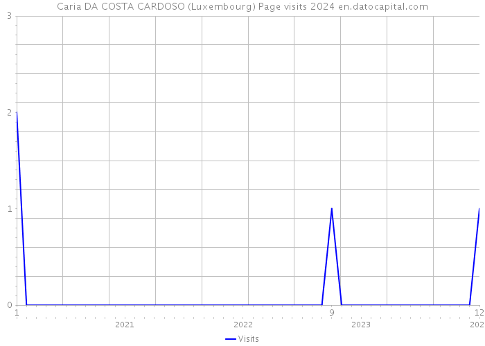Caria DA COSTA CARDOSO (Luxembourg) Page visits 2024 