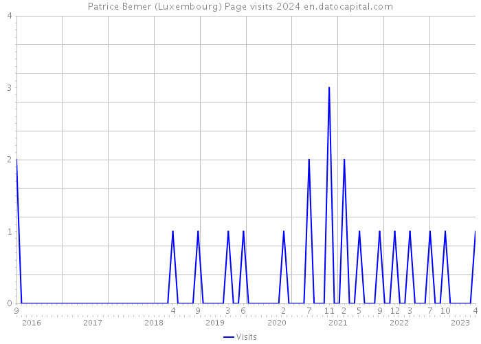 Patrice Bemer (Luxembourg) Page visits 2024 