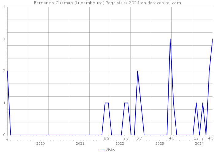 Fernando Guzman (Luxembourg) Page visits 2024 