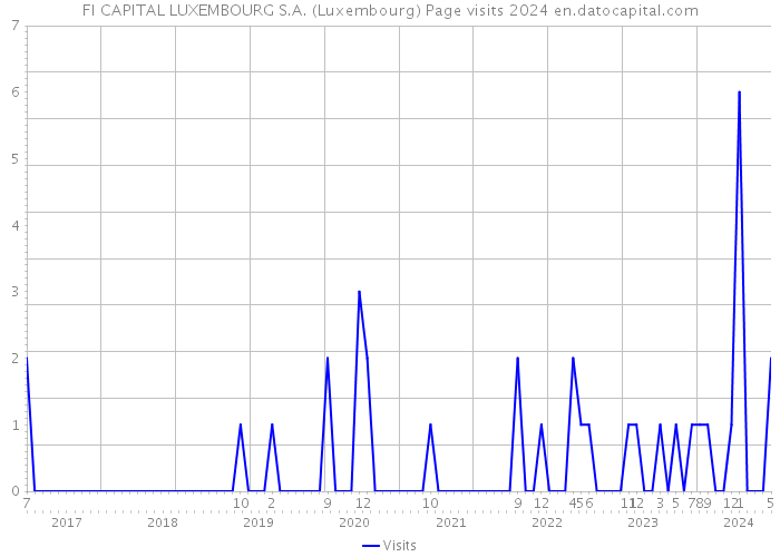 FI CAPITAL LUXEMBOURG S.A. (Luxembourg) Page visits 2024 