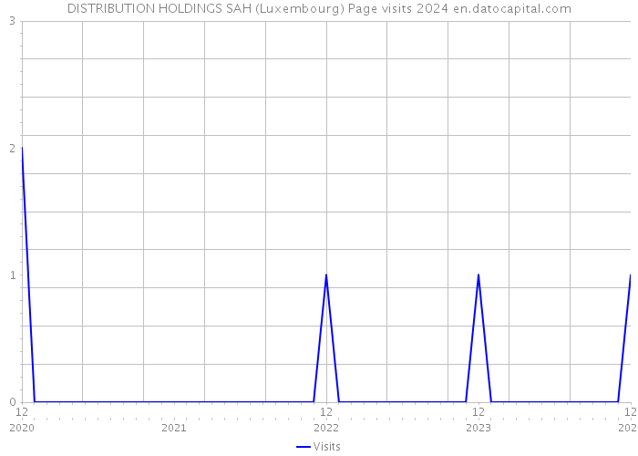 DISTRIBUTION HOLDINGS SAH (Luxembourg) Page visits 2024 