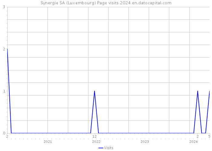 Synergie SA (Luxembourg) Page visits 2024 