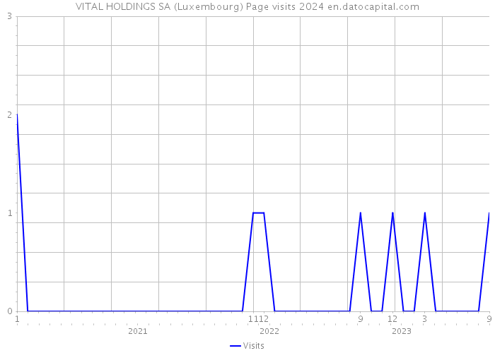 VITAL HOLDINGS SA (Luxembourg) Page visits 2024 