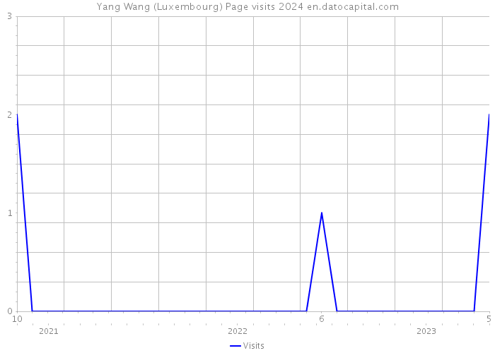 Yang Wang (Luxembourg) Page visits 2024 