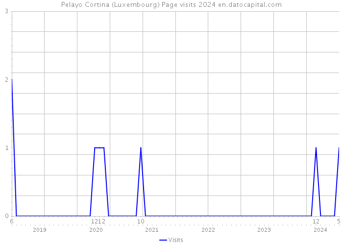Pelayo Cortina (Luxembourg) Page visits 2024 