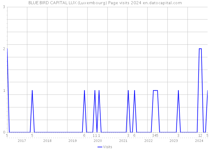 BLUE BIRD CAPITAL LUX (Luxembourg) Page visits 2024 