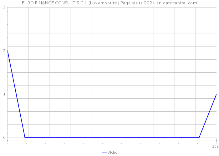 EURO FINANCE CONSULT S.C.I. (Luxembourg) Page visits 2024 