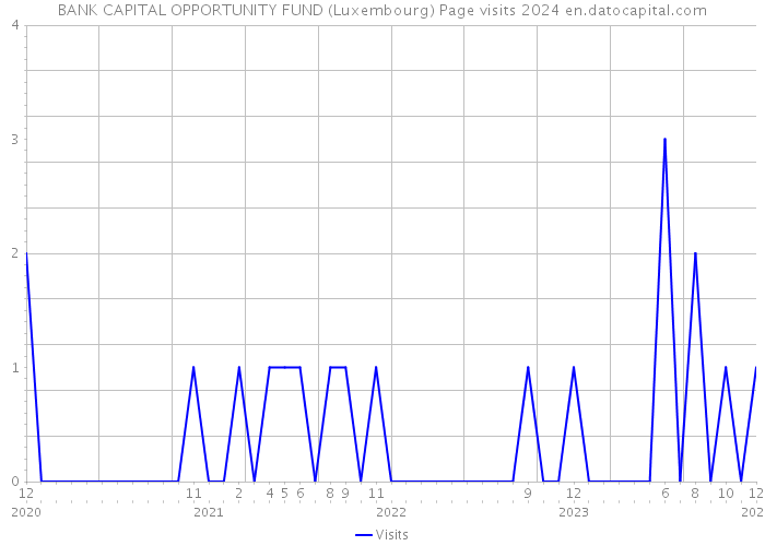 BANK CAPITAL OPPORTUNITY FUND (Luxembourg) Page visits 2024 