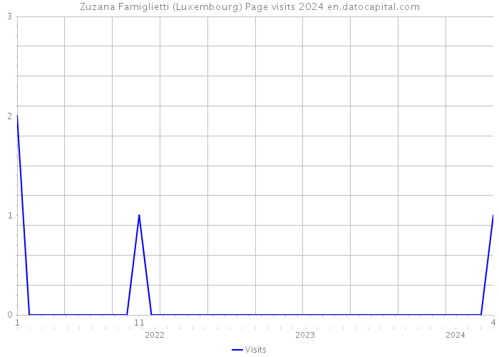Zuzana Famiglietti (Luxembourg) Page visits 2024 