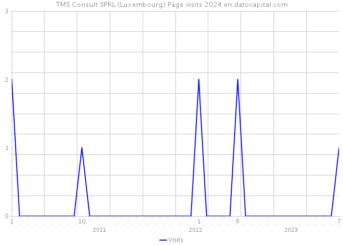TMS Consult SPRL (Luxembourg) Page visits 2024 