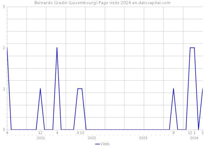 Bernardo Gradin (Luxembourg) Page visits 2024 