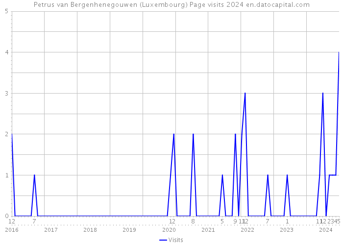 Petrus van Bergenhenegouwen (Luxembourg) Page visits 2024 