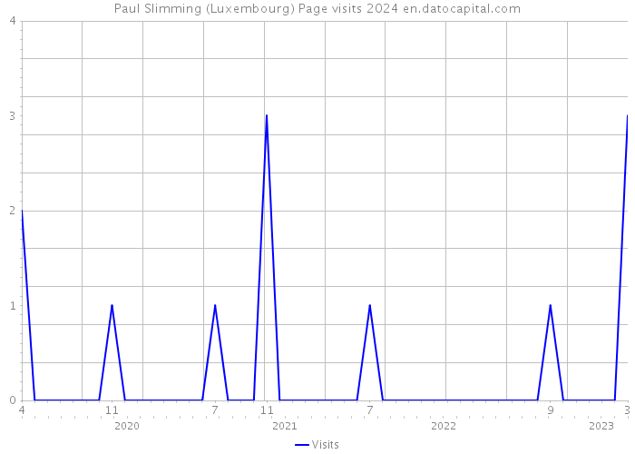 Paul Slimming (Luxembourg) Page visits 2024 