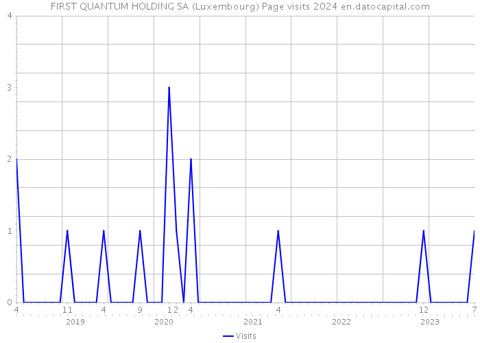 FIRST QUANTUM HOLDING SA (Luxembourg) Page visits 2024 