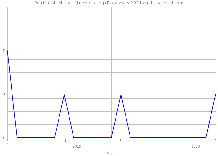 Patrizia Misciattelli (Luxembourg) Page visits 2024 