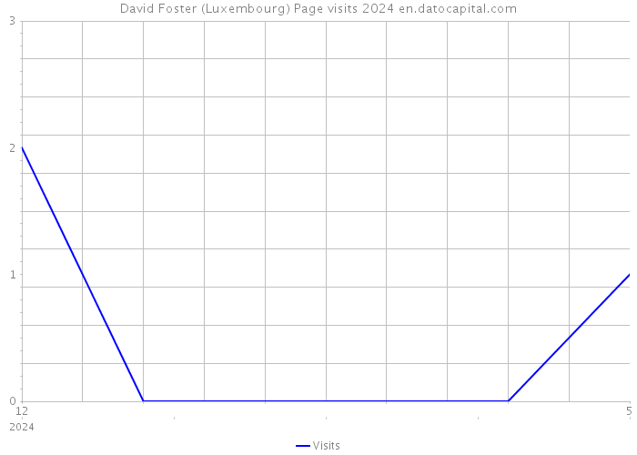 David Foster (Luxembourg) Page visits 2024 