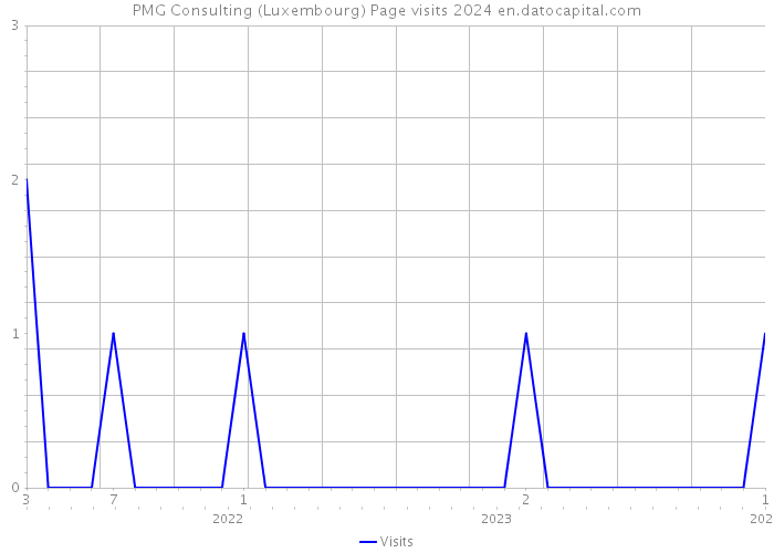 PMG Consulting (Luxembourg) Page visits 2024 