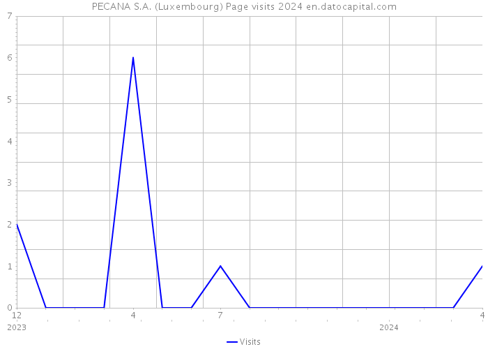 PECANA S.A. (Luxembourg) Page visits 2024 
