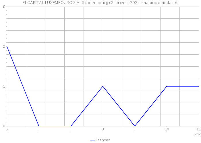FI CAPITAL LUXEMBOURG S.A. (Luxembourg) Searches 2024 