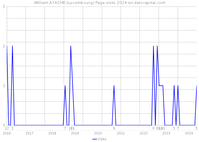 William AYACHE (Luxembourg) Page visits 2024 