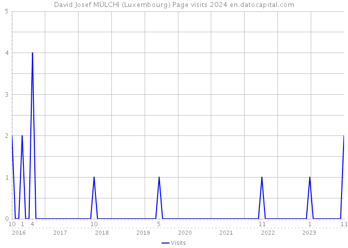David Josef MÜLCHI (Luxembourg) Page visits 2024 