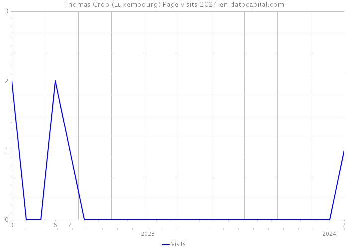 Thomas Grob (Luxembourg) Page visits 2024 