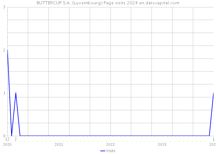 BUTTERCUP S.A. (Luxembourg) Page visits 2024 