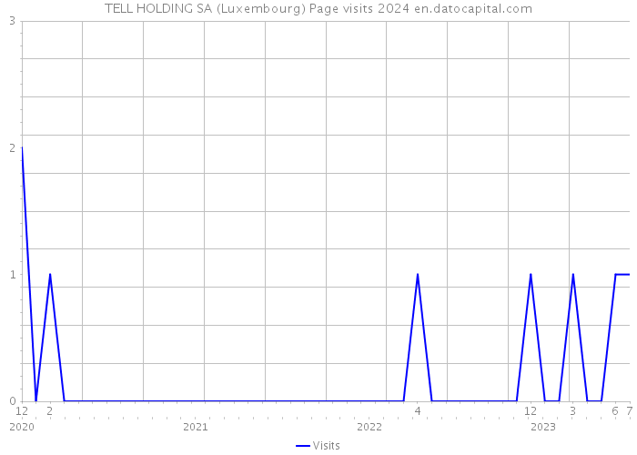 TELL HOLDING SA (Luxembourg) Page visits 2024 