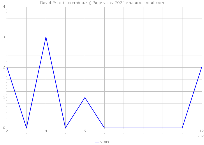 David Pratt (Luxembourg) Page visits 2024 