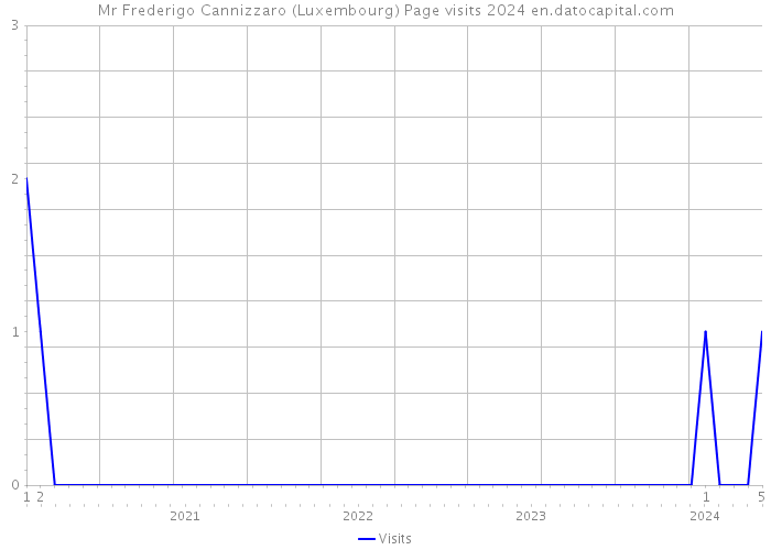 Mr Frederigo Cannizzaro (Luxembourg) Page visits 2024 