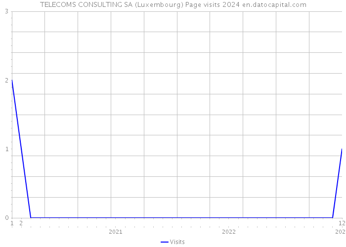 TELECOMS CONSULTING SA (Luxembourg) Page visits 2024 