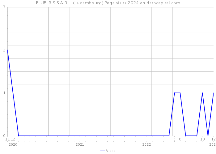 BLUE IRIS S.A R.L. (Luxembourg) Page visits 2024 