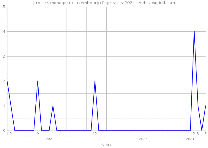 process manageer (Luxembourg) Page visits 2024 